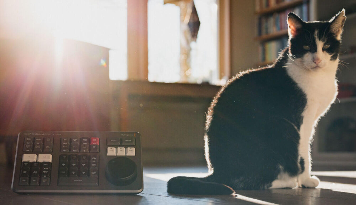 Julius sitting next to a Speed Editor